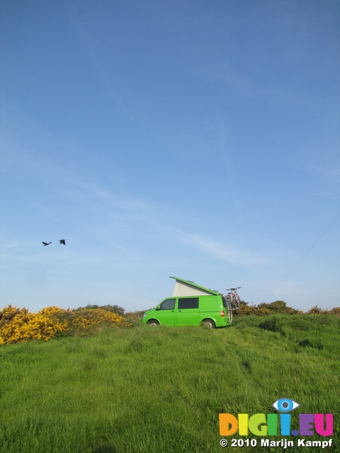 SX14136 Crows flying over Ralphie the green vw campervan